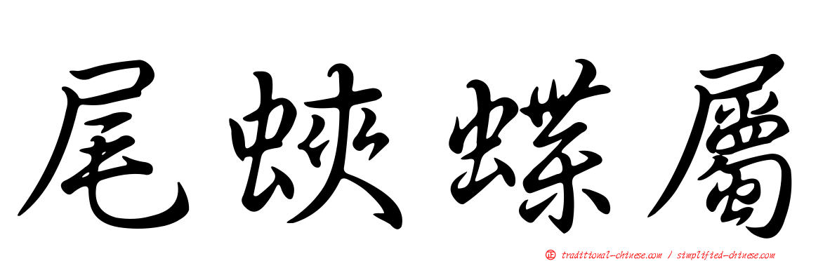 尾蛺蝶屬