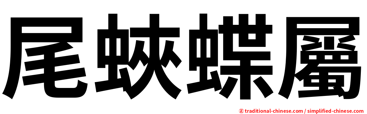 尾蛺蝶屬