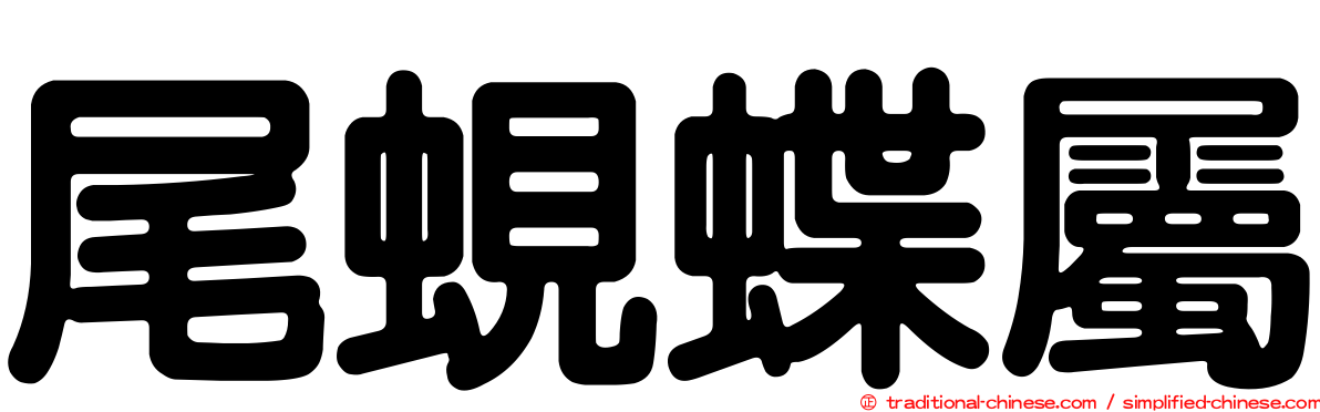 尾蜆蝶屬