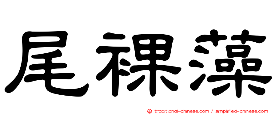 尾裸藻