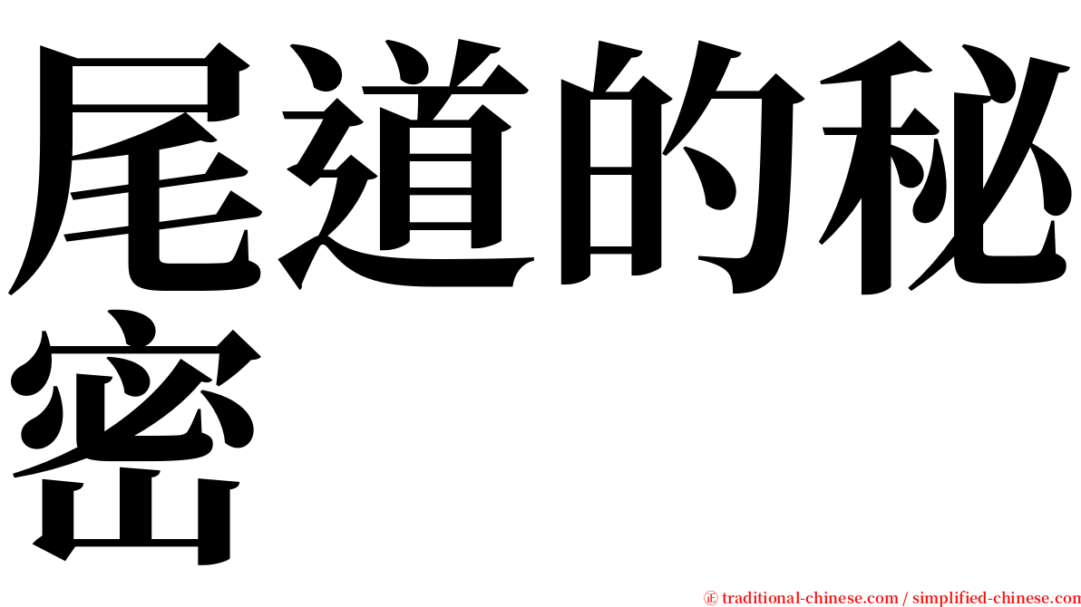 尾道的秘密 serif font