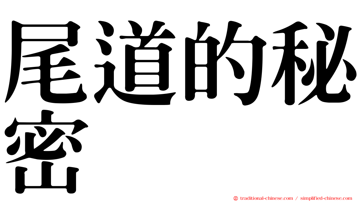 尾道的秘密
