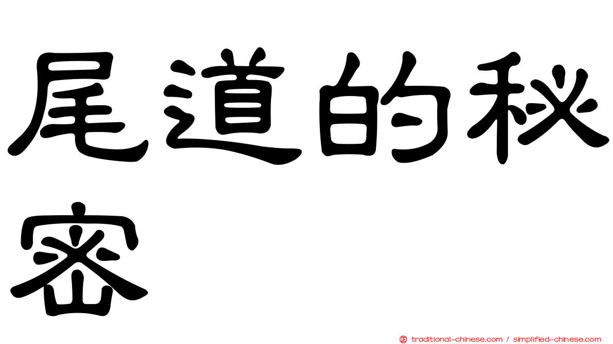 尾道的秘密