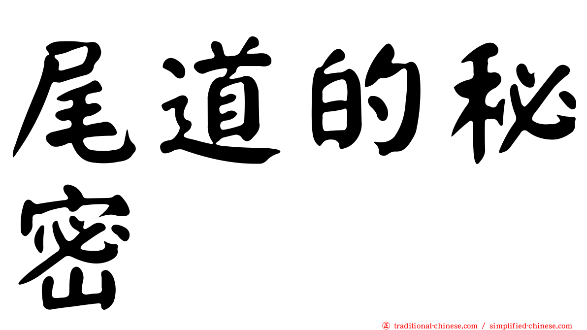 尾道的秘密