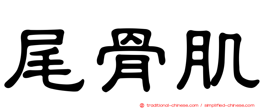 尾骨肌