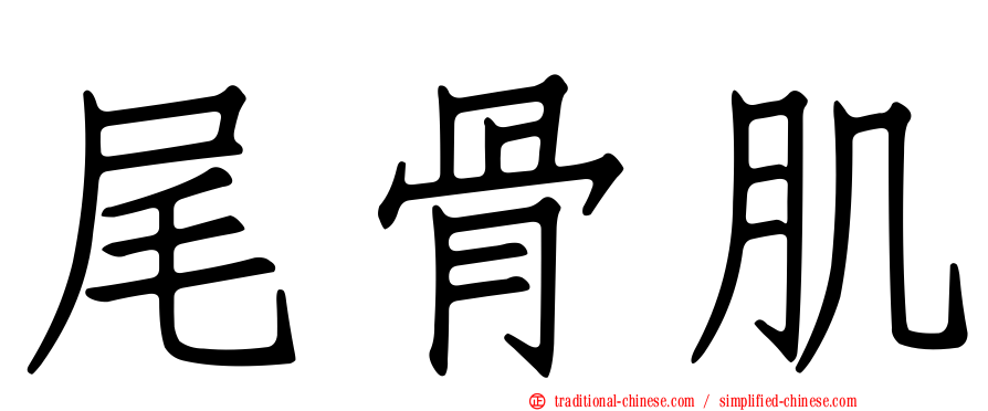 尾骨肌