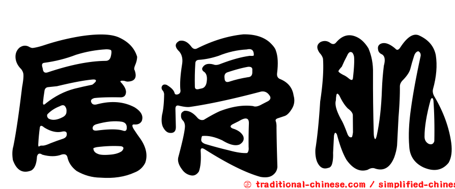 尾骨肌