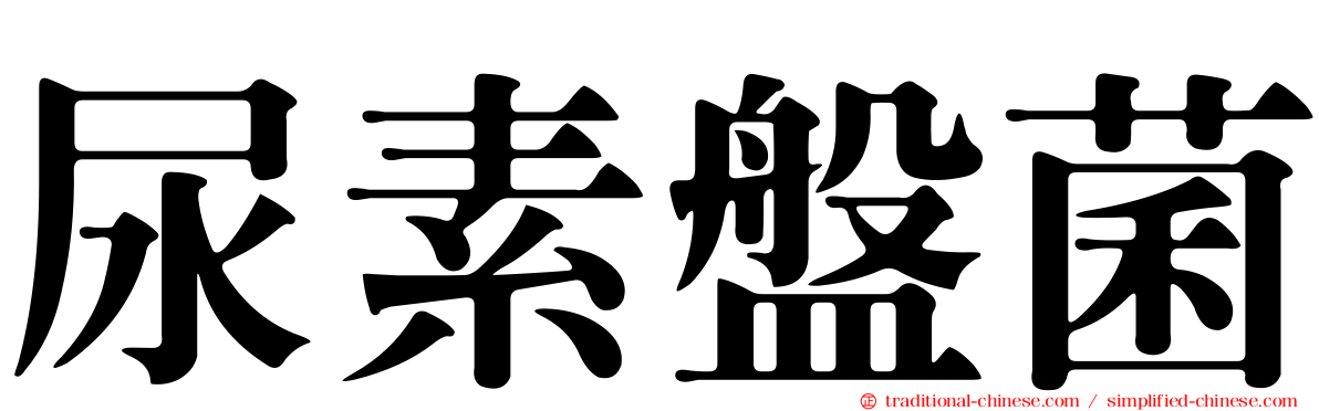 尿素盤菌