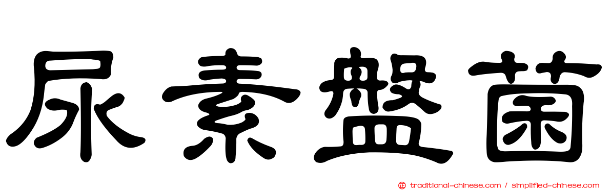 尿素盤菌