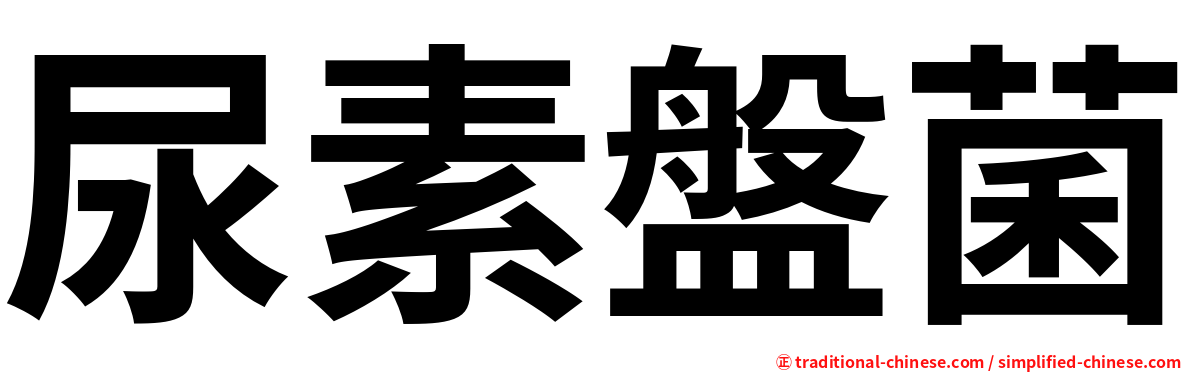 尿素盤菌