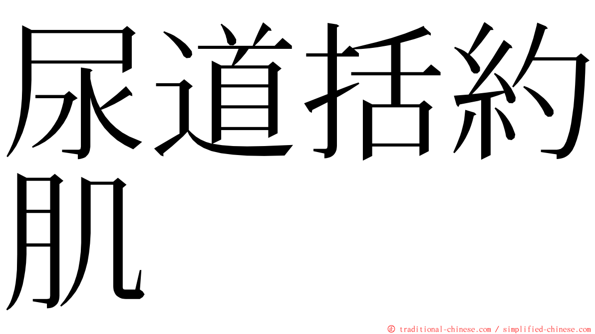 尿道括約肌 ming font