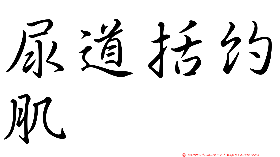尿道括約肌