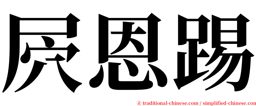 屄恩踢 serif font