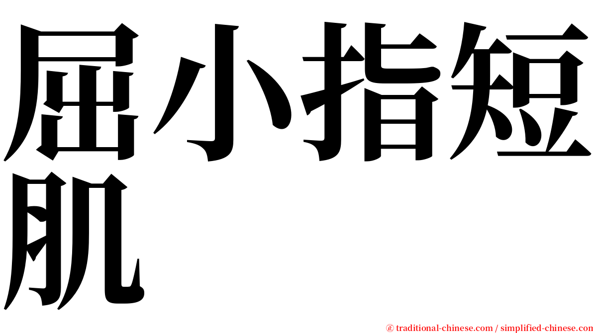 屈小指短肌 serif font