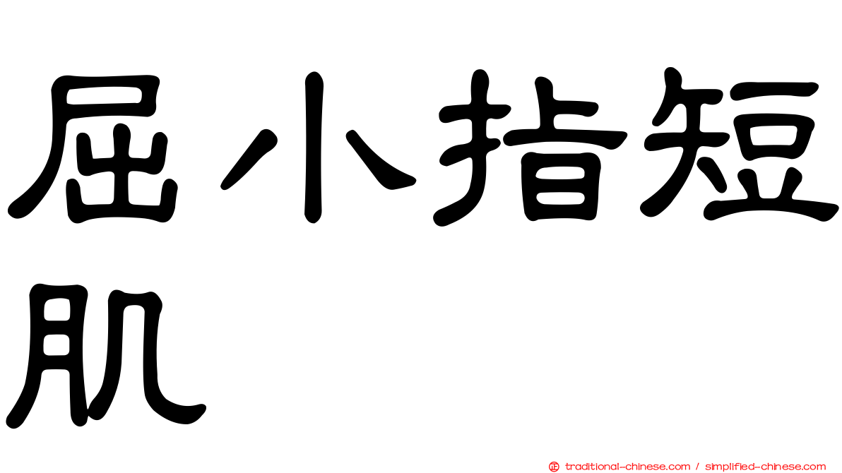 屈小指短肌