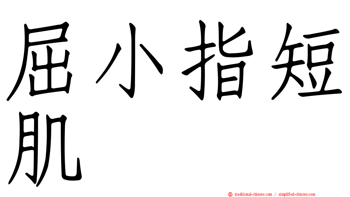 屈小指短肌