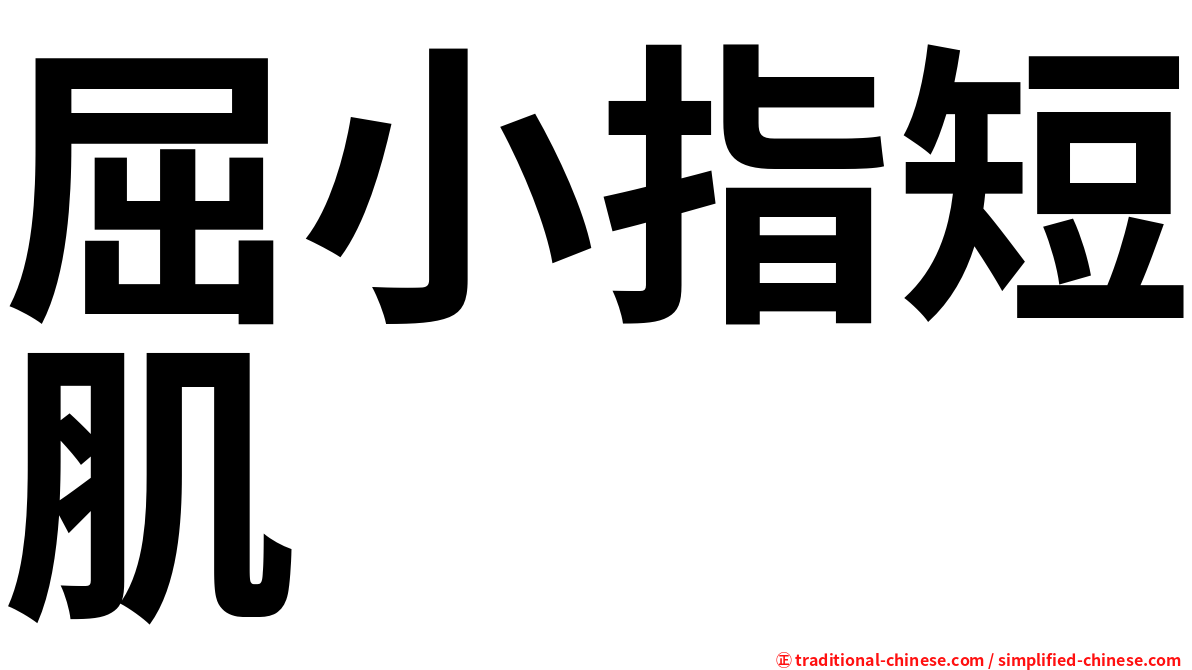 屈小指短肌