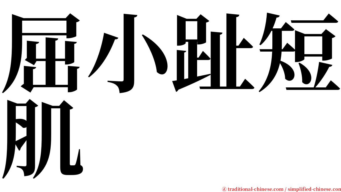 屈小趾短肌 serif font