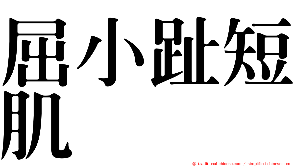 屈小趾短肌