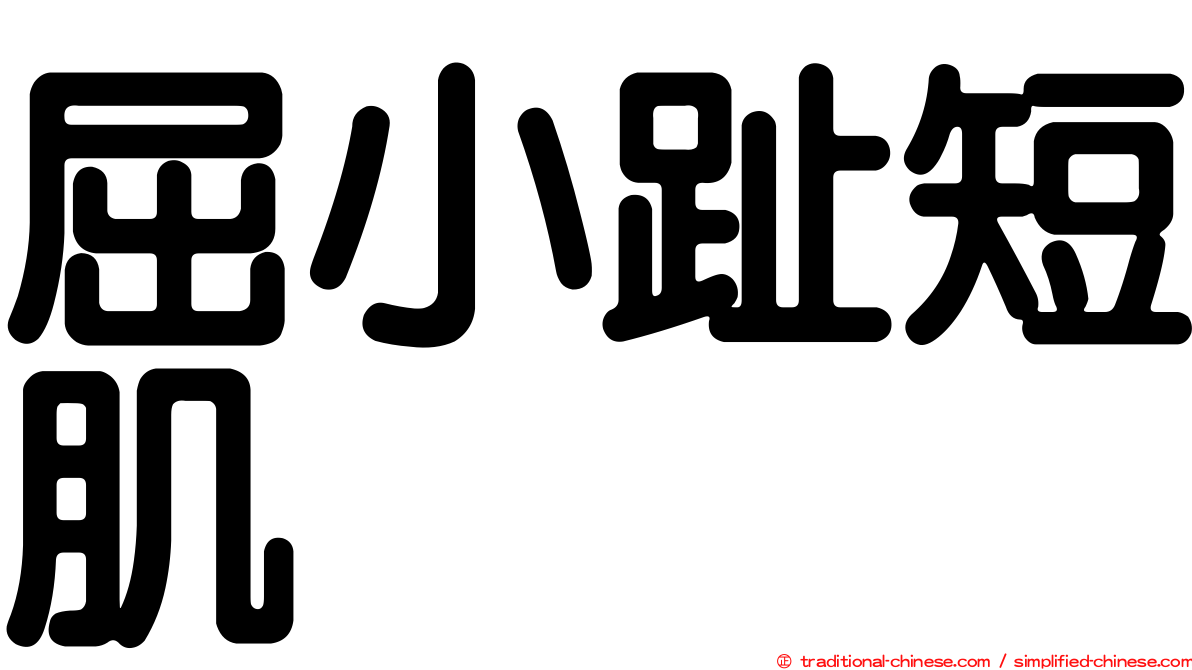 屈小趾短肌