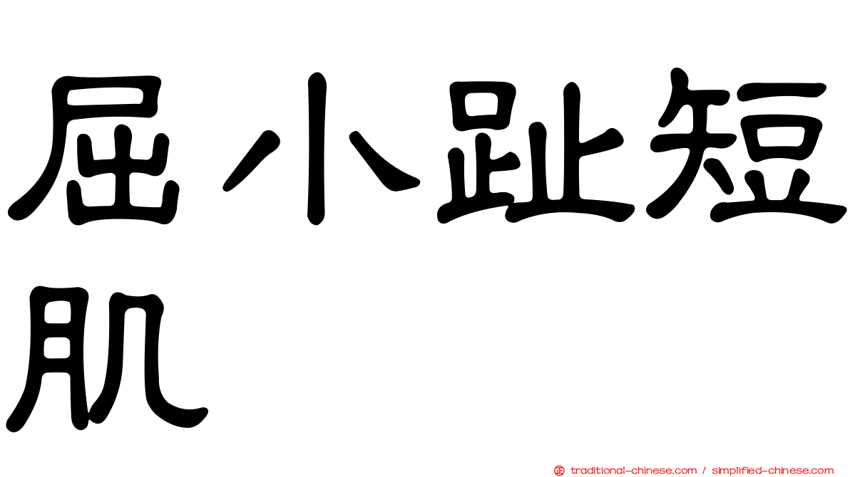 屈小趾短肌