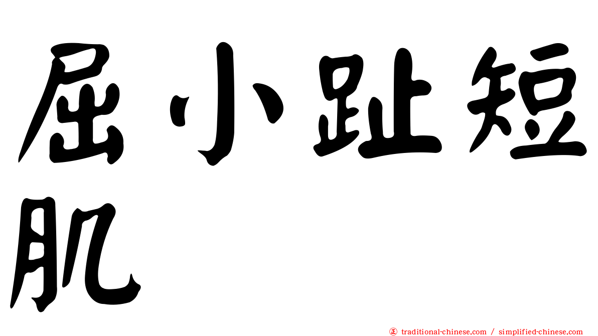 屈小趾短肌