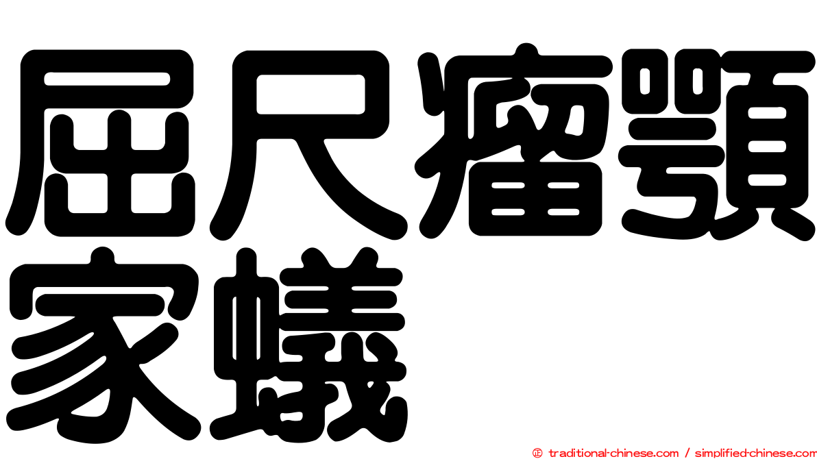 屈尺瘤顎家蟻