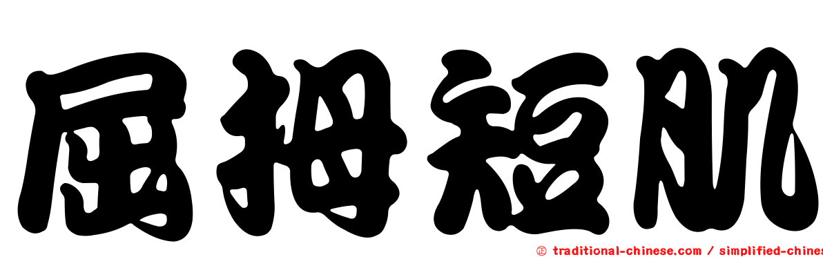 屈拇短肌