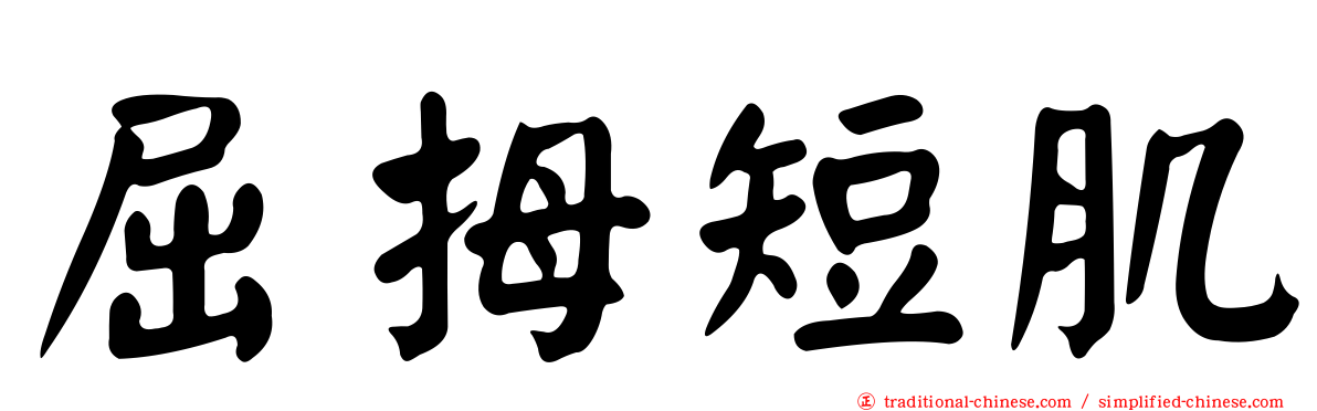 屈拇短肌