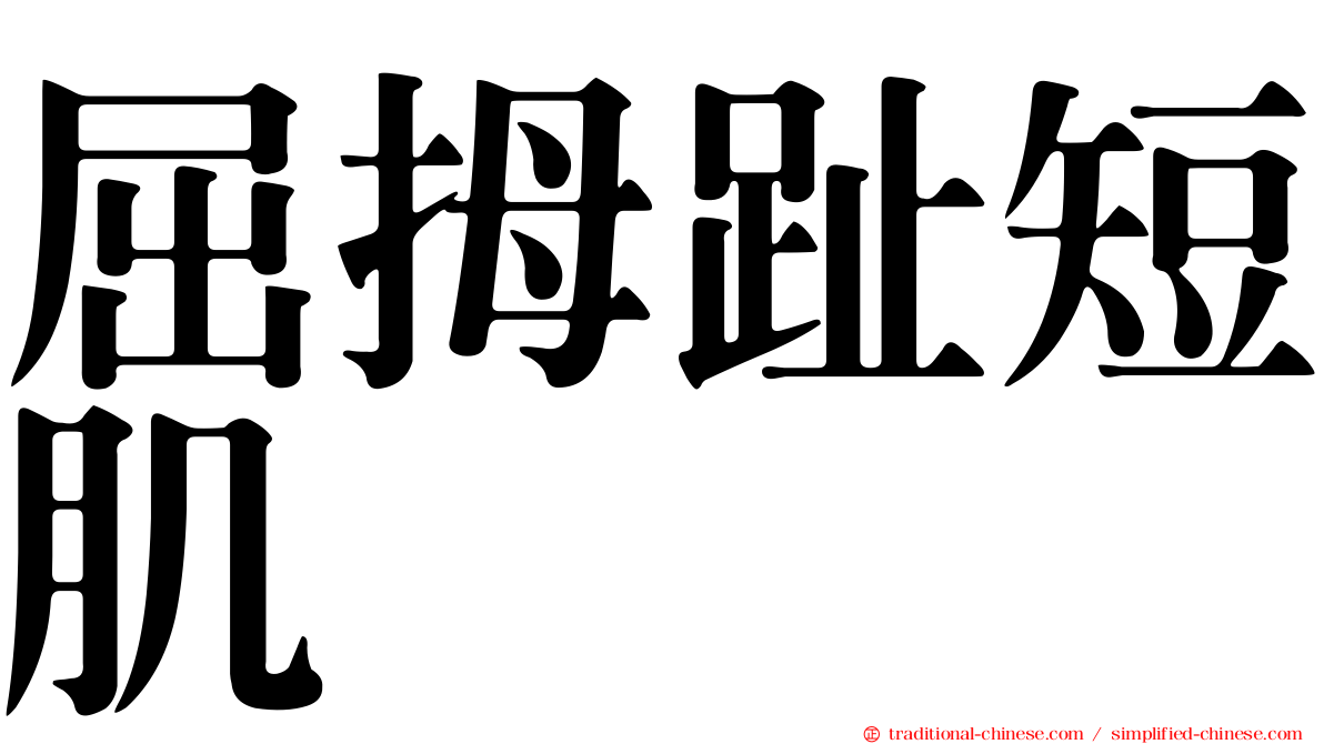 屈拇趾短肌