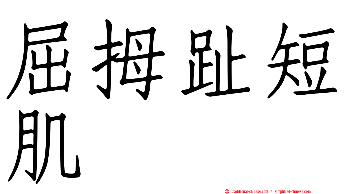 屈拇趾短肌