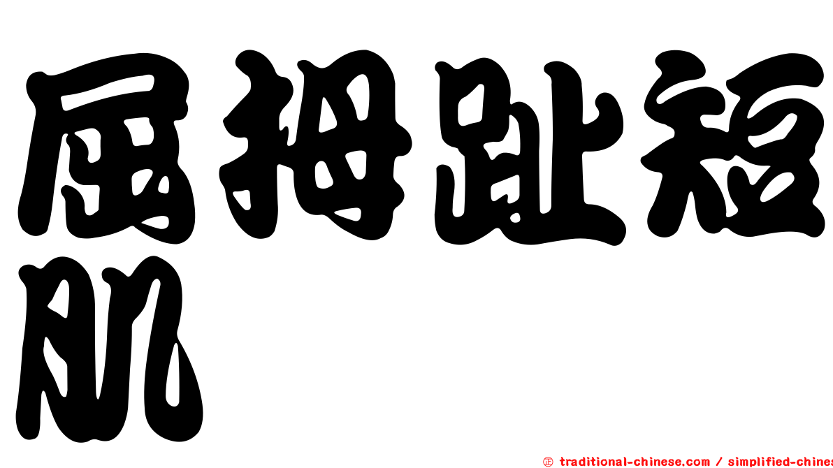 屈拇趾短肌