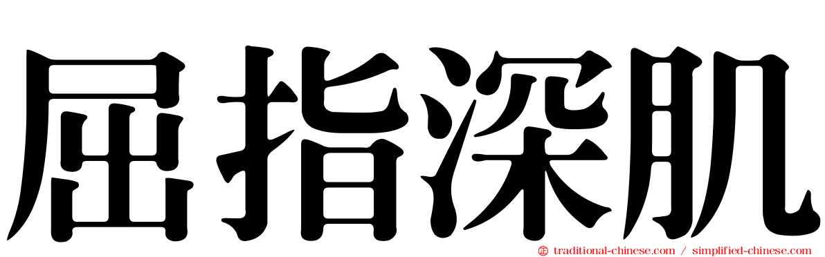 屈指深肌