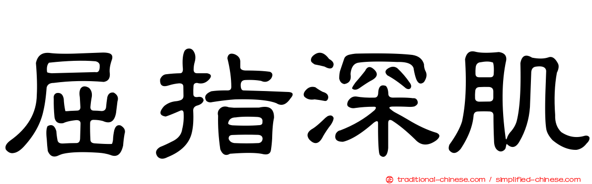 屈指深肌