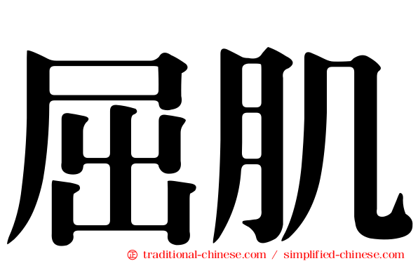 屈肌