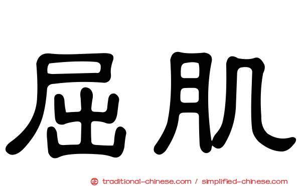 屈肌