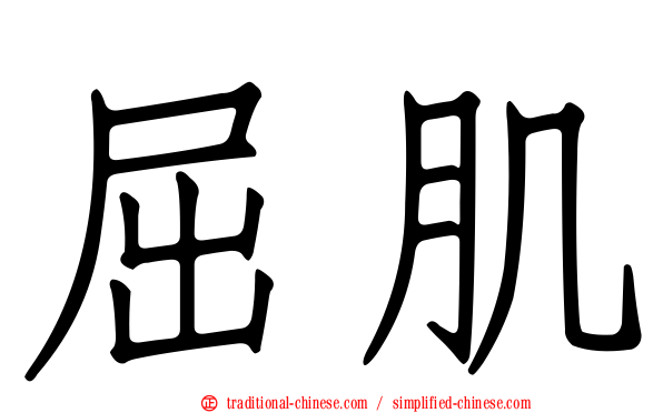 屈肌