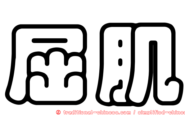 屈肌