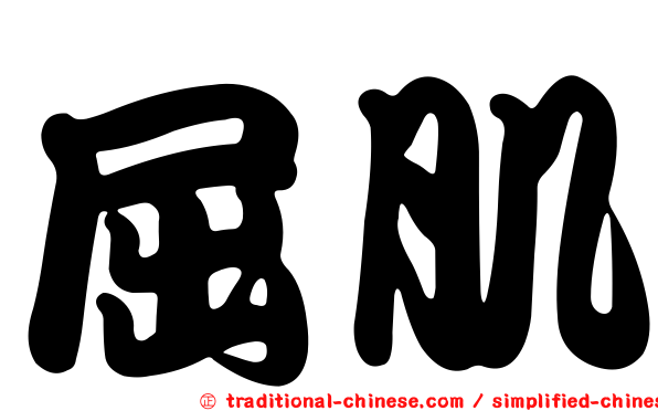 屈肌