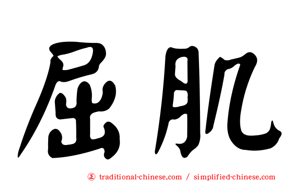 屈肌