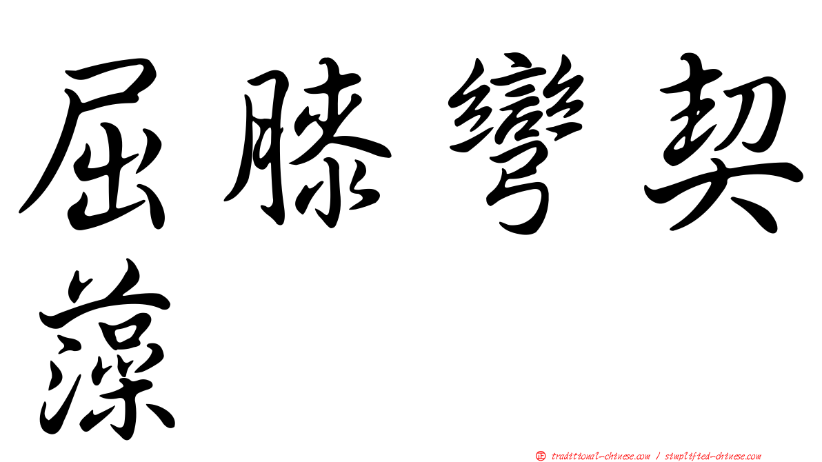屈膝彎契藻