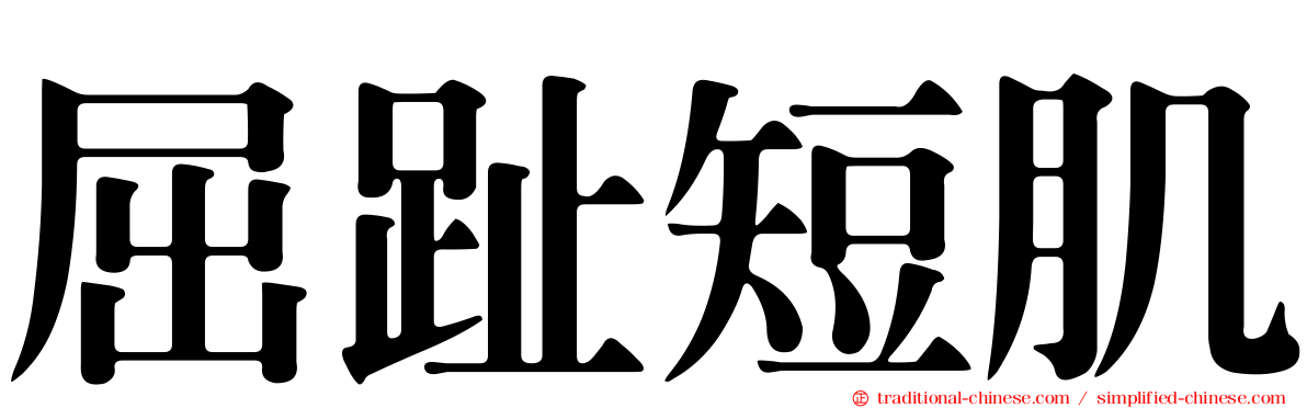 屈趾短肌