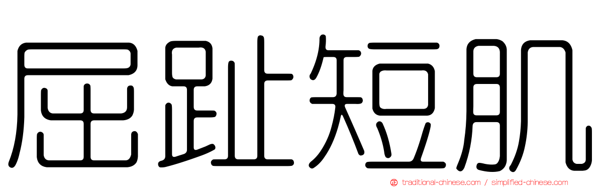 屈趾短肌