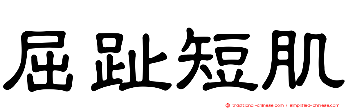 屈趾短肌