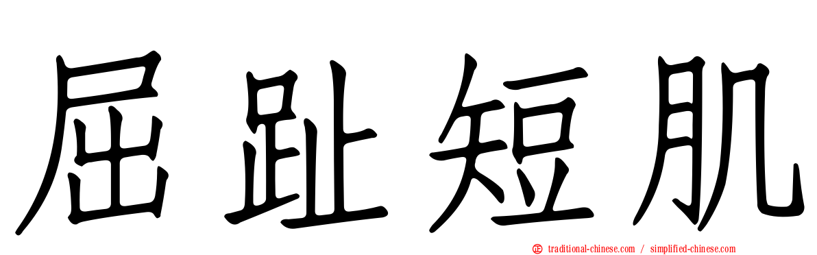 屈趾短肌