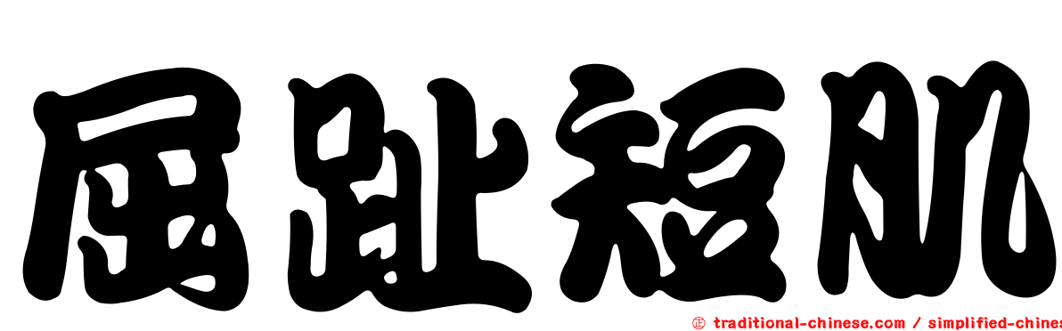 屈趾短肌