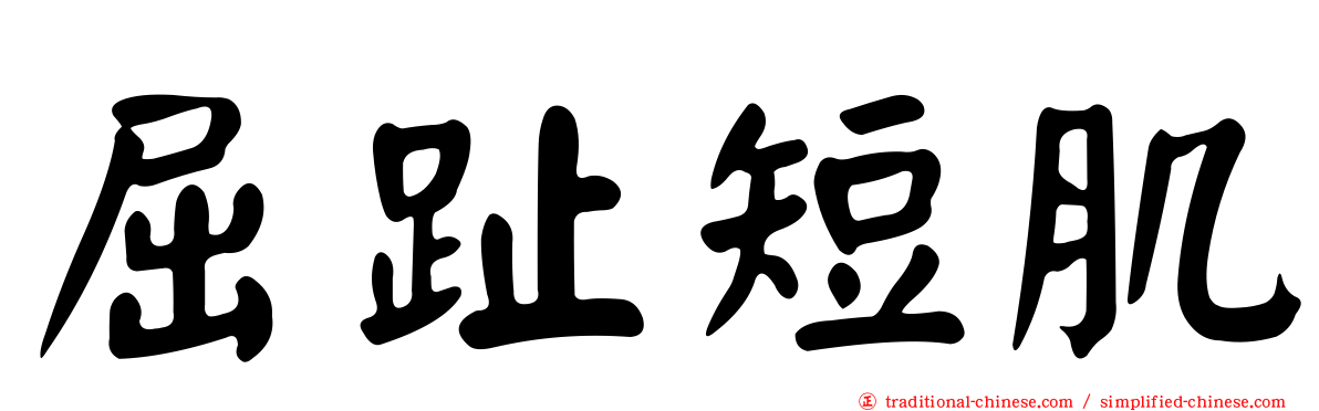 屈趾短肌