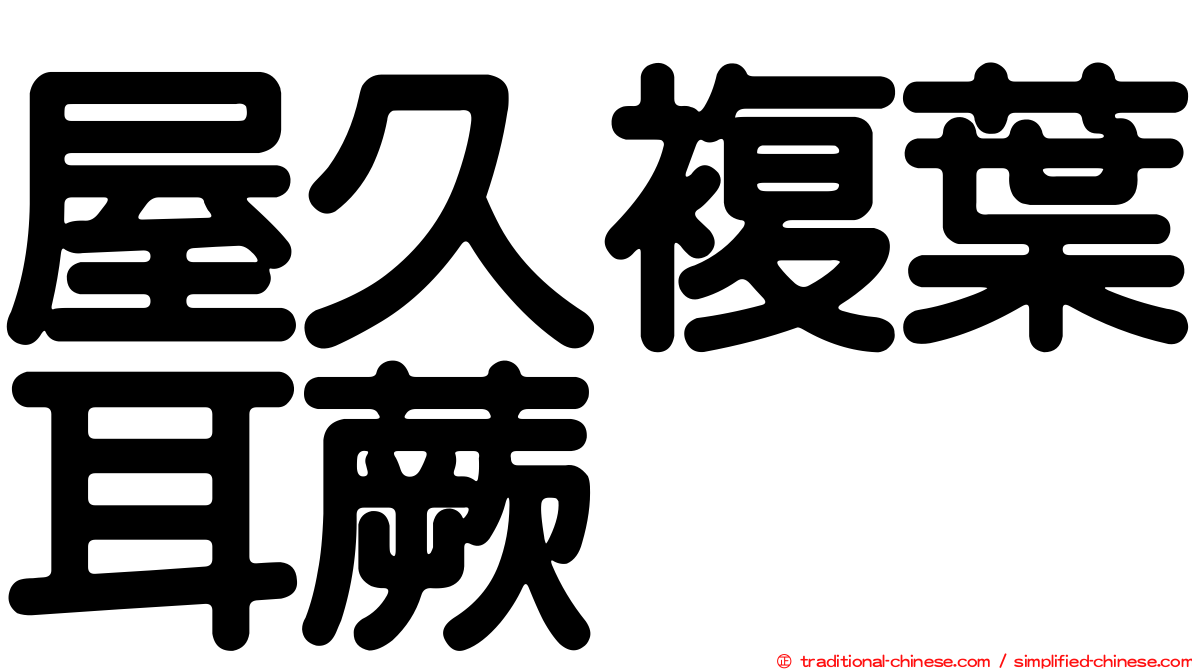 屋久複葉耳蕨