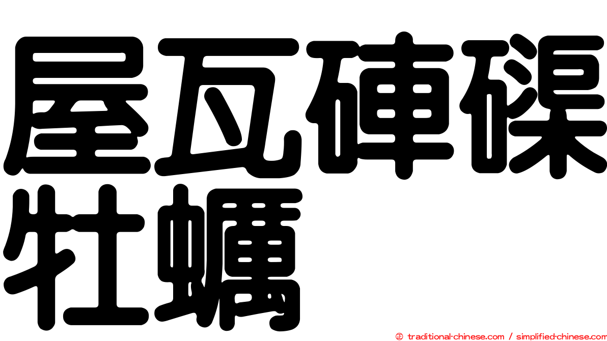 屋瓦硨磲牡蠣