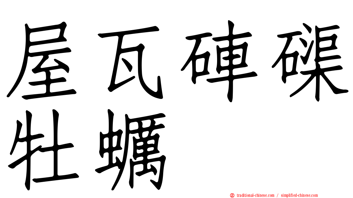 屋瓦硨磲牡蠣